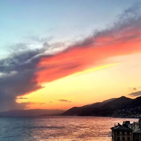 La Casa Della Fiore Camogli