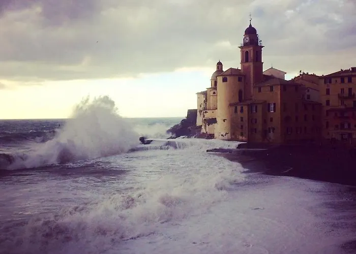 La Casa Della Fiore Camogli