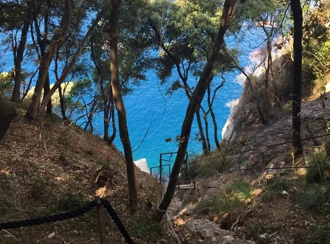 Semesterbostad La Casa Della Fiore *